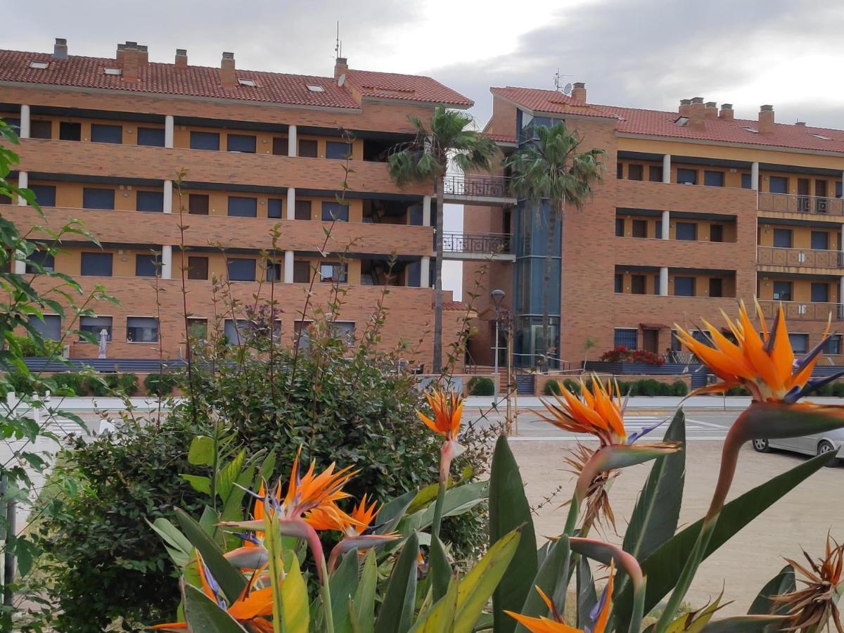 Apartamento En Deltebre Lo Delta מראה חיצוני תמונה